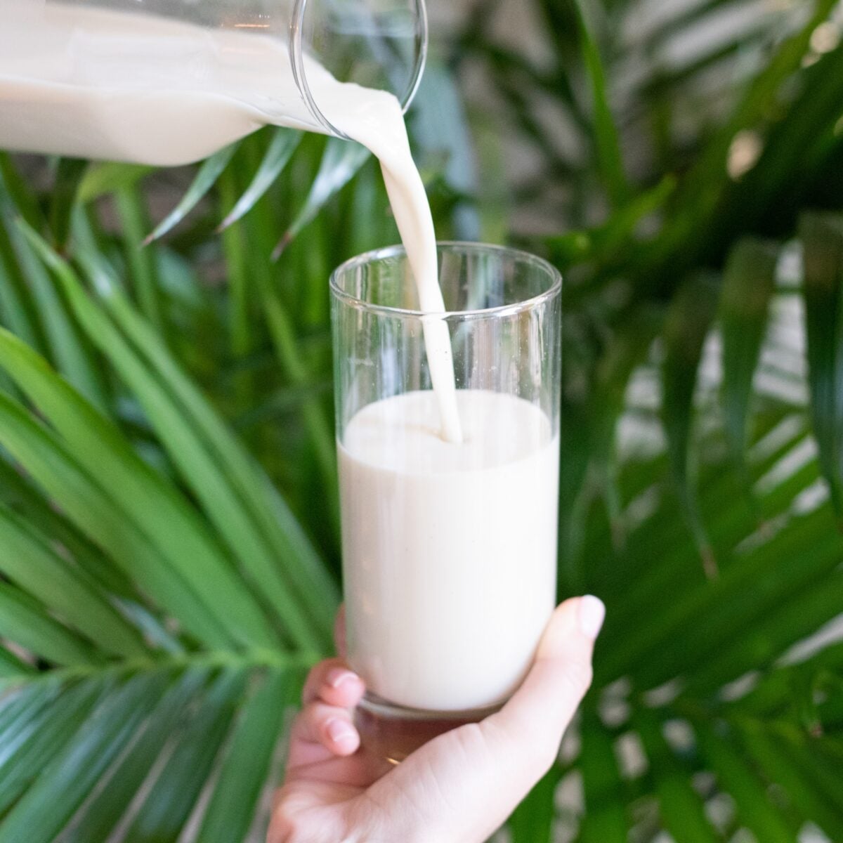 A glass filled with milk and a pitcher pouring more milk into the glass.