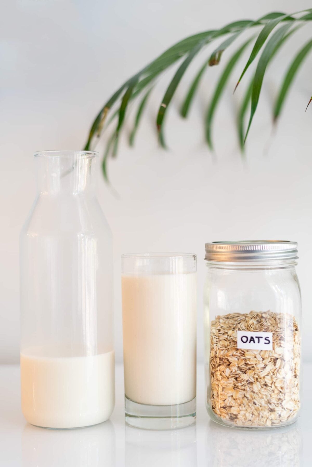 A glass of oat milk, a jar of rolled oats, and a pitcher filled with milk.