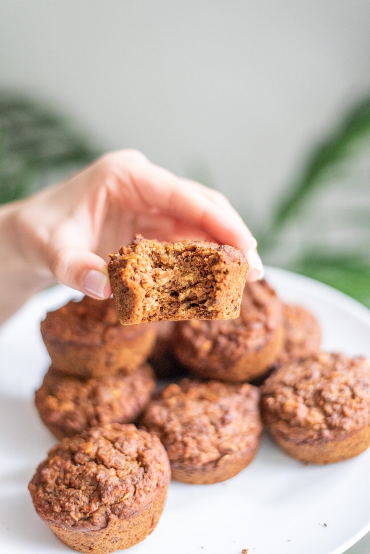 Vegan Carrot Cake Muffins on a white plate with a white hand in the center holding a muffin with a bite taken out of it. A palm leaf is in the background.
