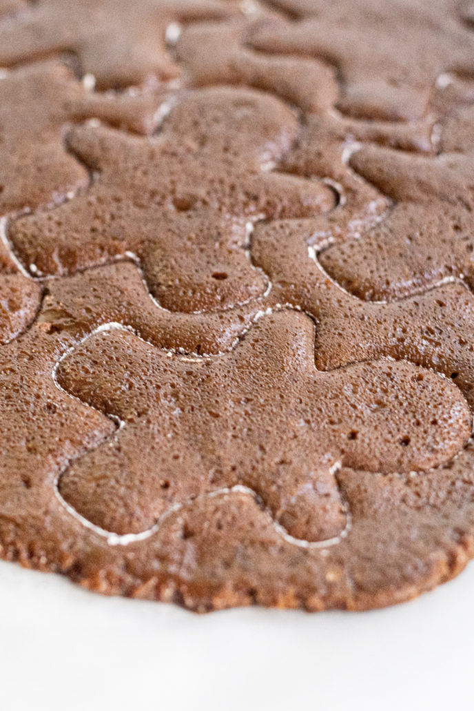 Vegan Gingerbread Cookies Picture
