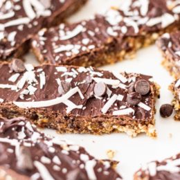 Homemade Vegan Protein Bars Picture