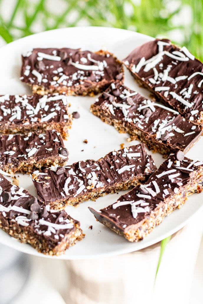 Homemade Vegan Protein Bars Picture