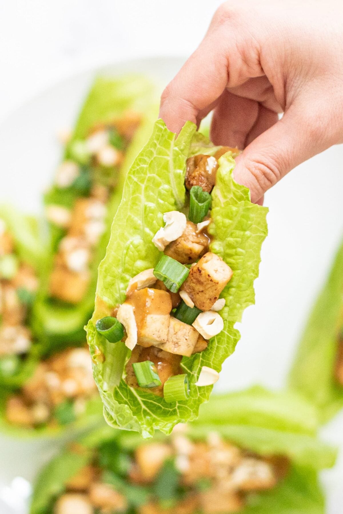 A plate of vegan tofu lettuce cups and a white hand holding one of the lettuce cups.