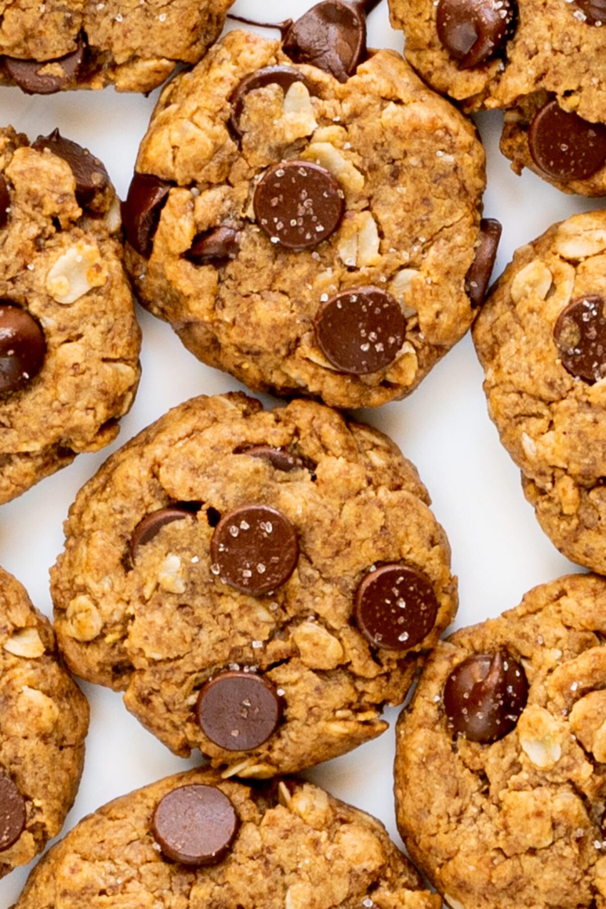 Chocolate chip cookies on a white tray.