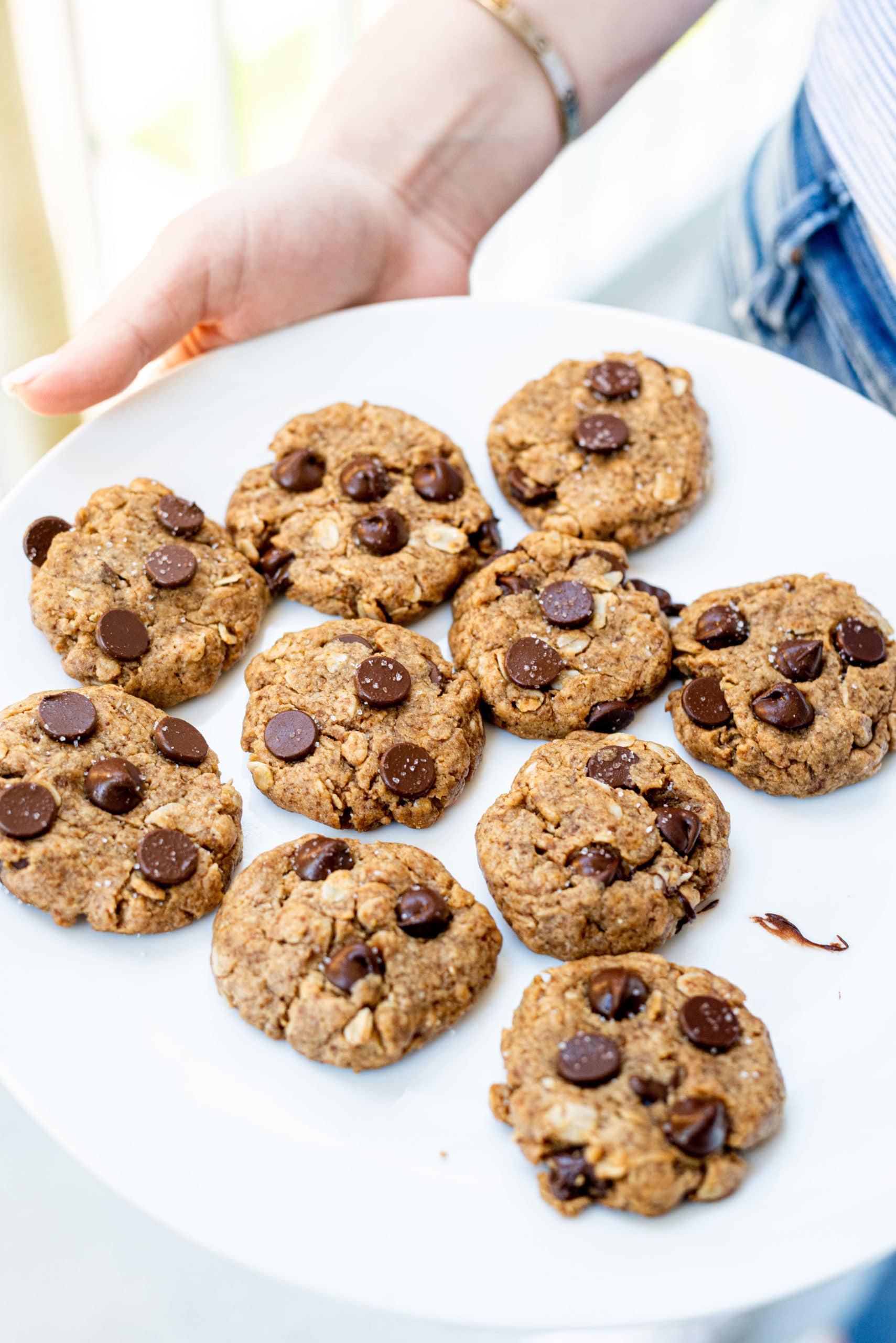 A white plate filled with chocolate chip cookies.