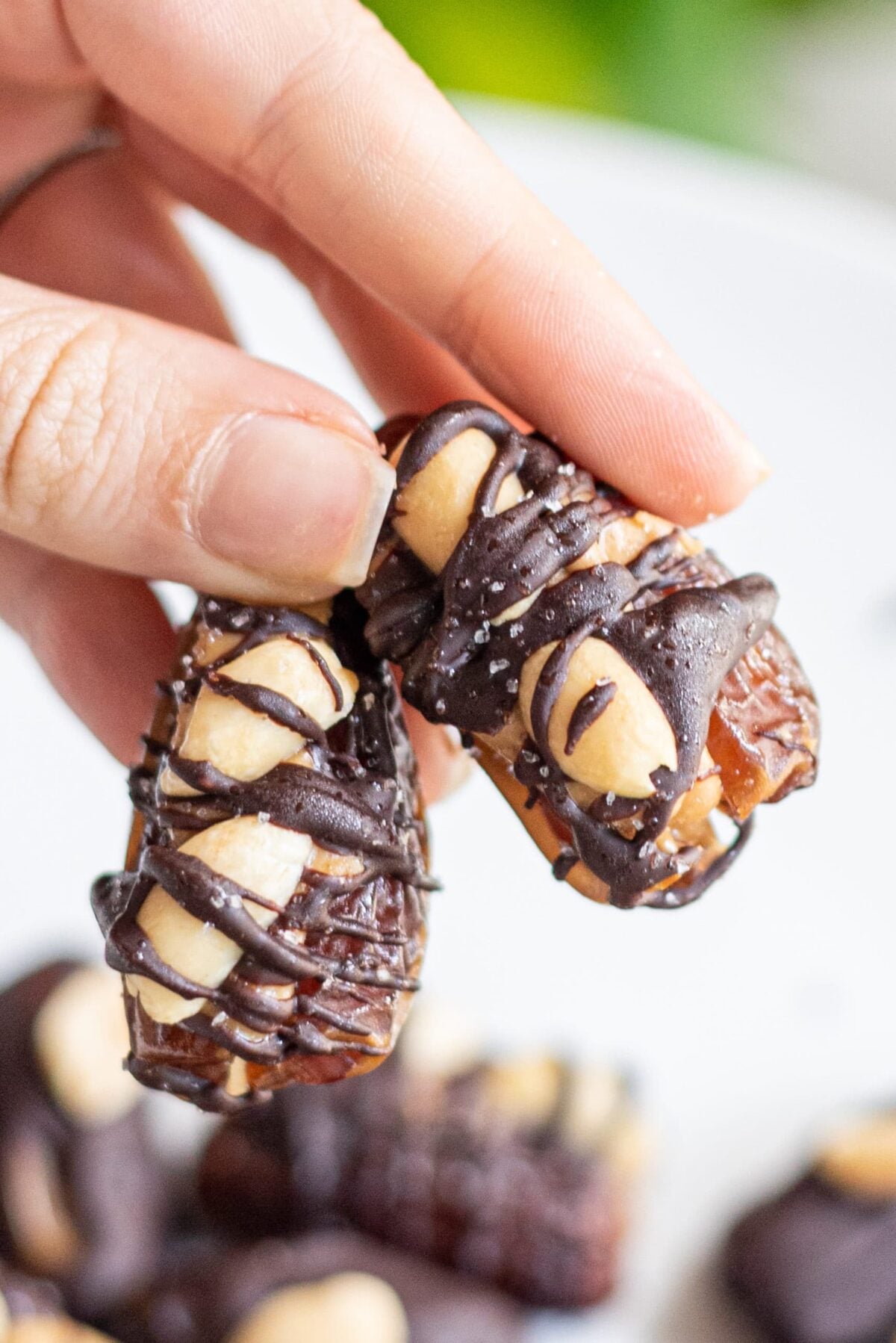 A white hand holding two dates covered in chocolate topped with peanuts.