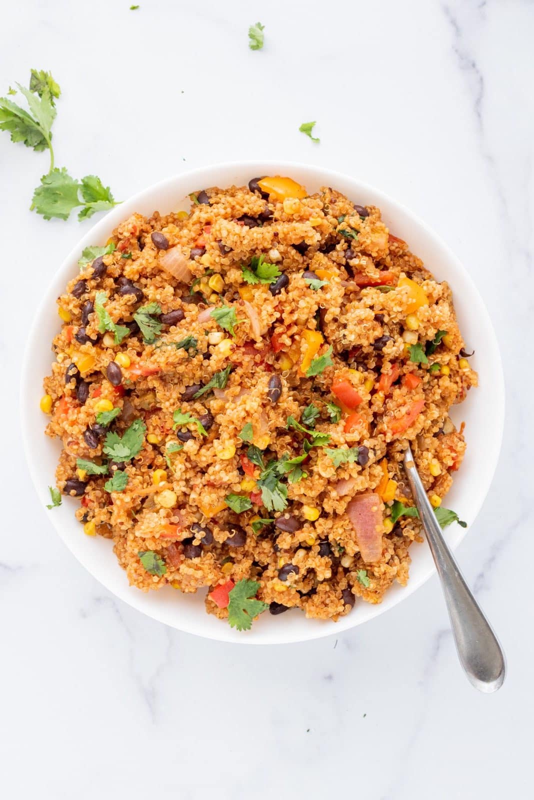 Vegan One-Pot Mexican Quinoa in a white bowl on a marble counter with a sprig of cilantro to the left of the bowl and a silver spoon in the quinoa.