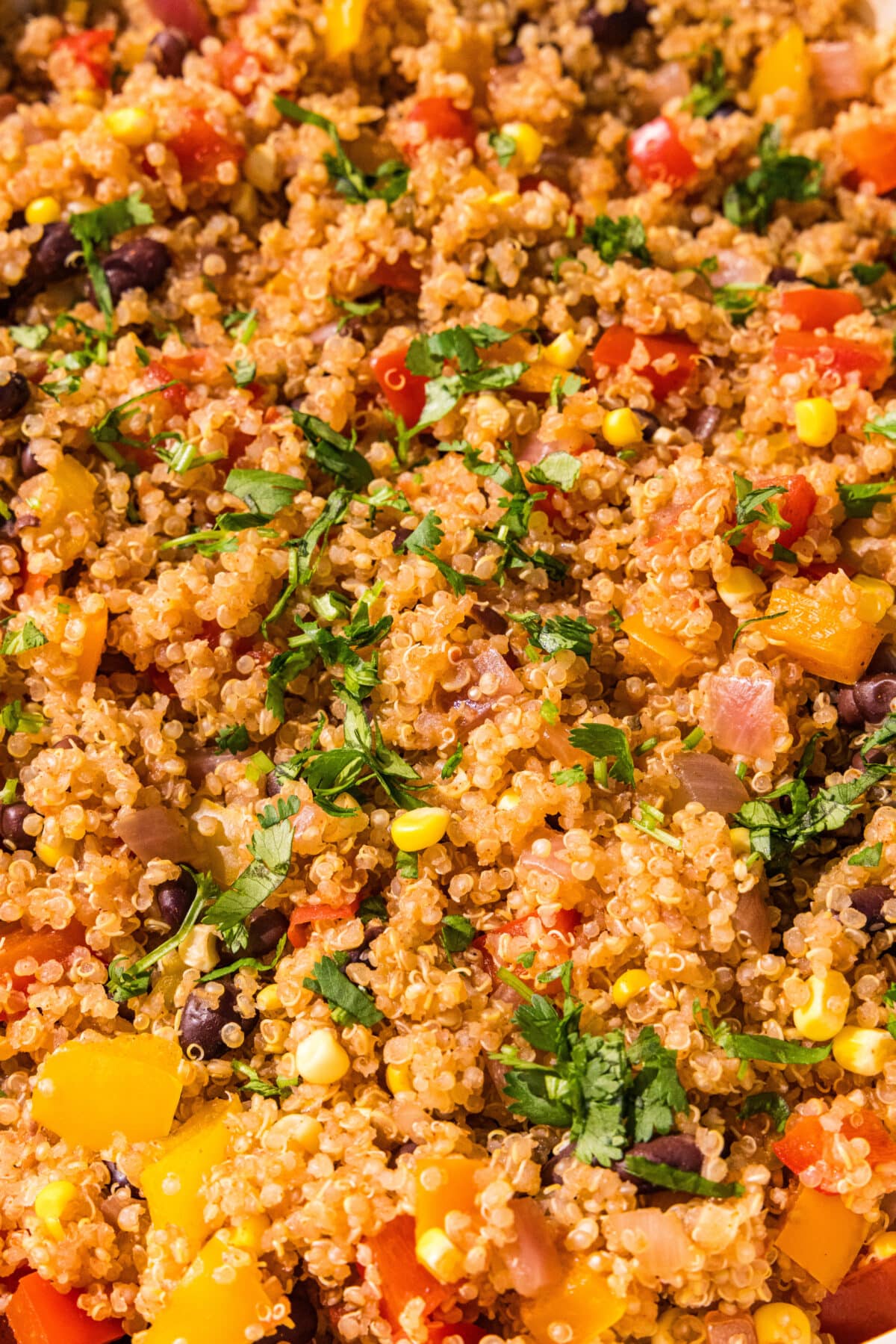 Close up of the one pot mexican quinoa.