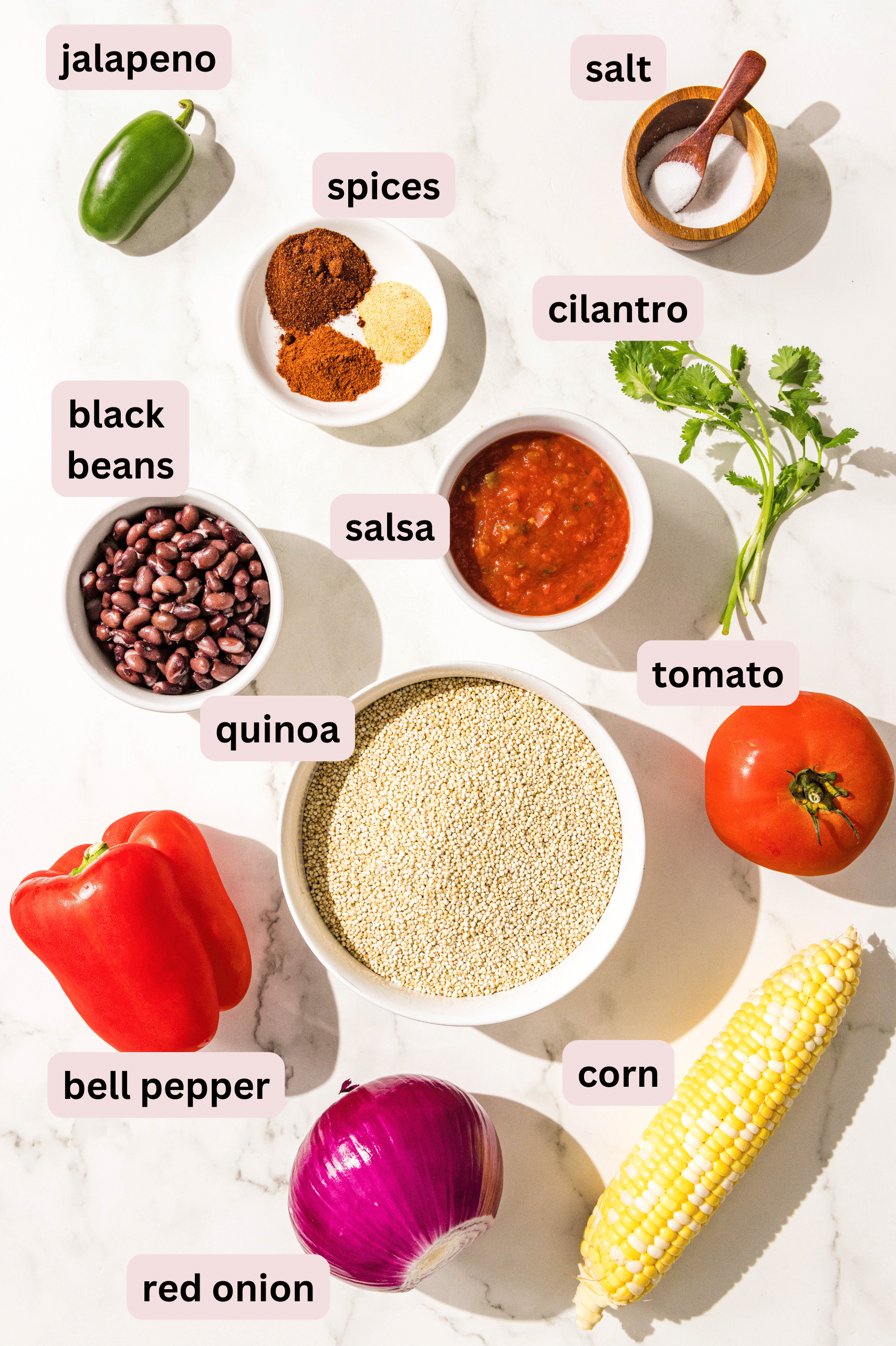 Ingredients needed to make one pot mexican quinoa laid out on a counter and labeled including: jalapeno, salt, spices, cilantro, corn, black beans, salsa, tomato, quinoa, bell pepper, red onion, and corn.