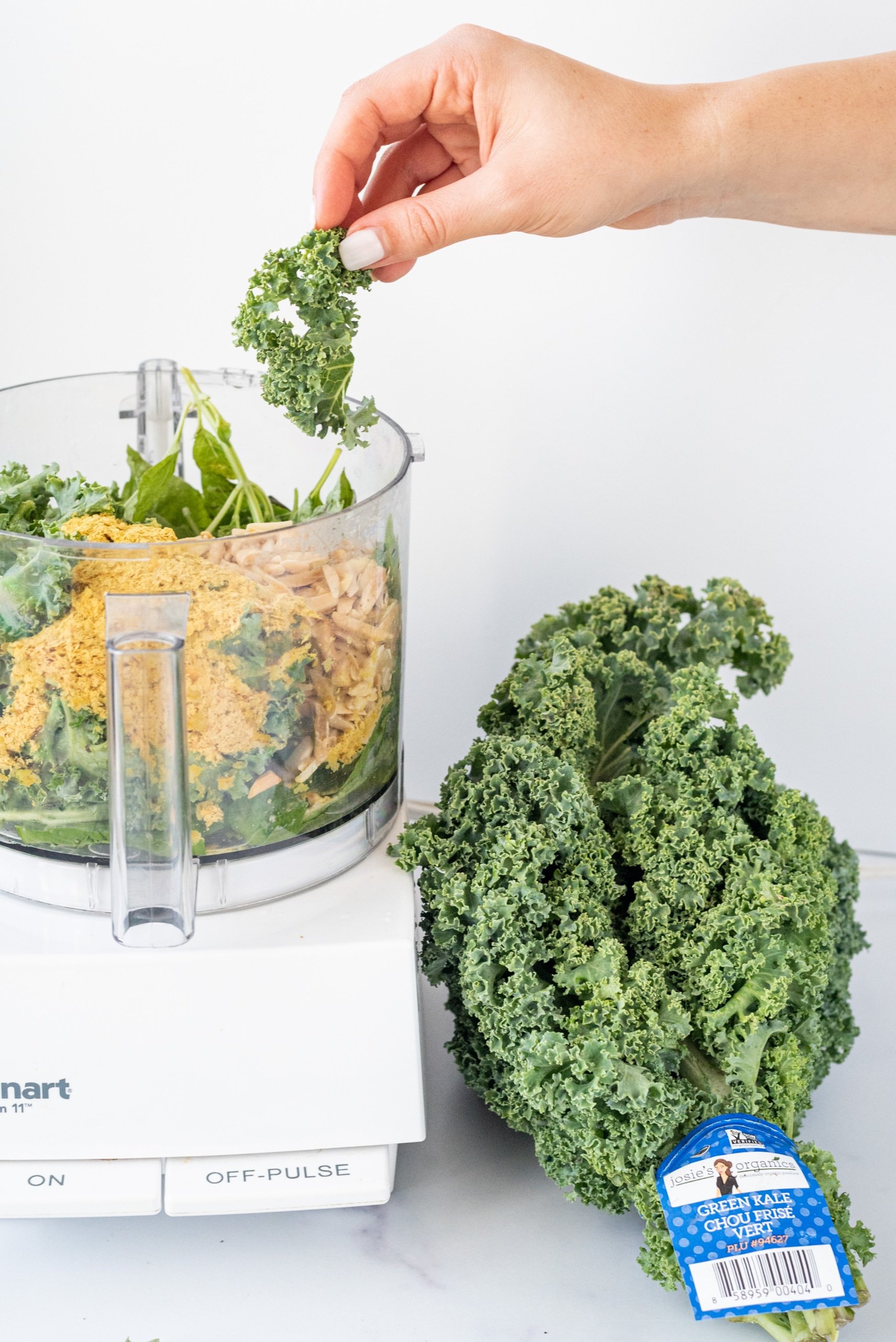 A food processor filled with kale and nutritional yeast with a white hand over top dropping in a piece of kale. Beside the processor on the counter is a bundle of kale.