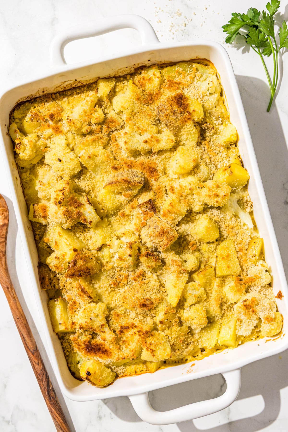 A 9x13 casserole dish of potato cauliflower casserole topped with breadcrumbs.