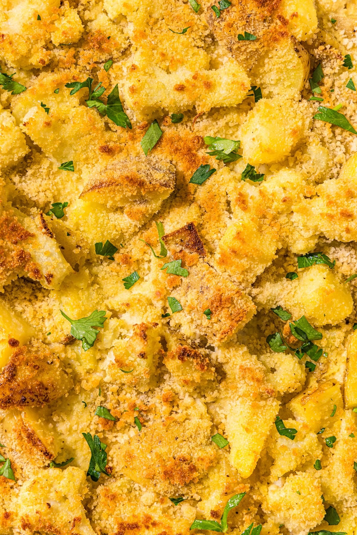 Cauliflower potato casserole topped with crispy breadcrumbs and fresh parsley.