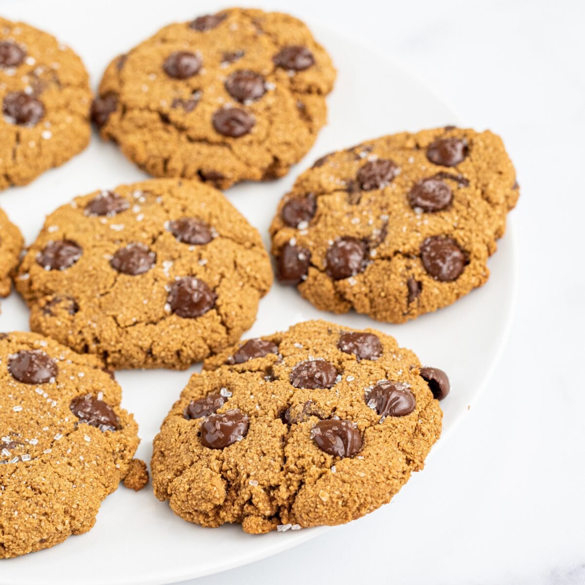 A white plate with 7 pumpkin chocolate chip cookies on it.
