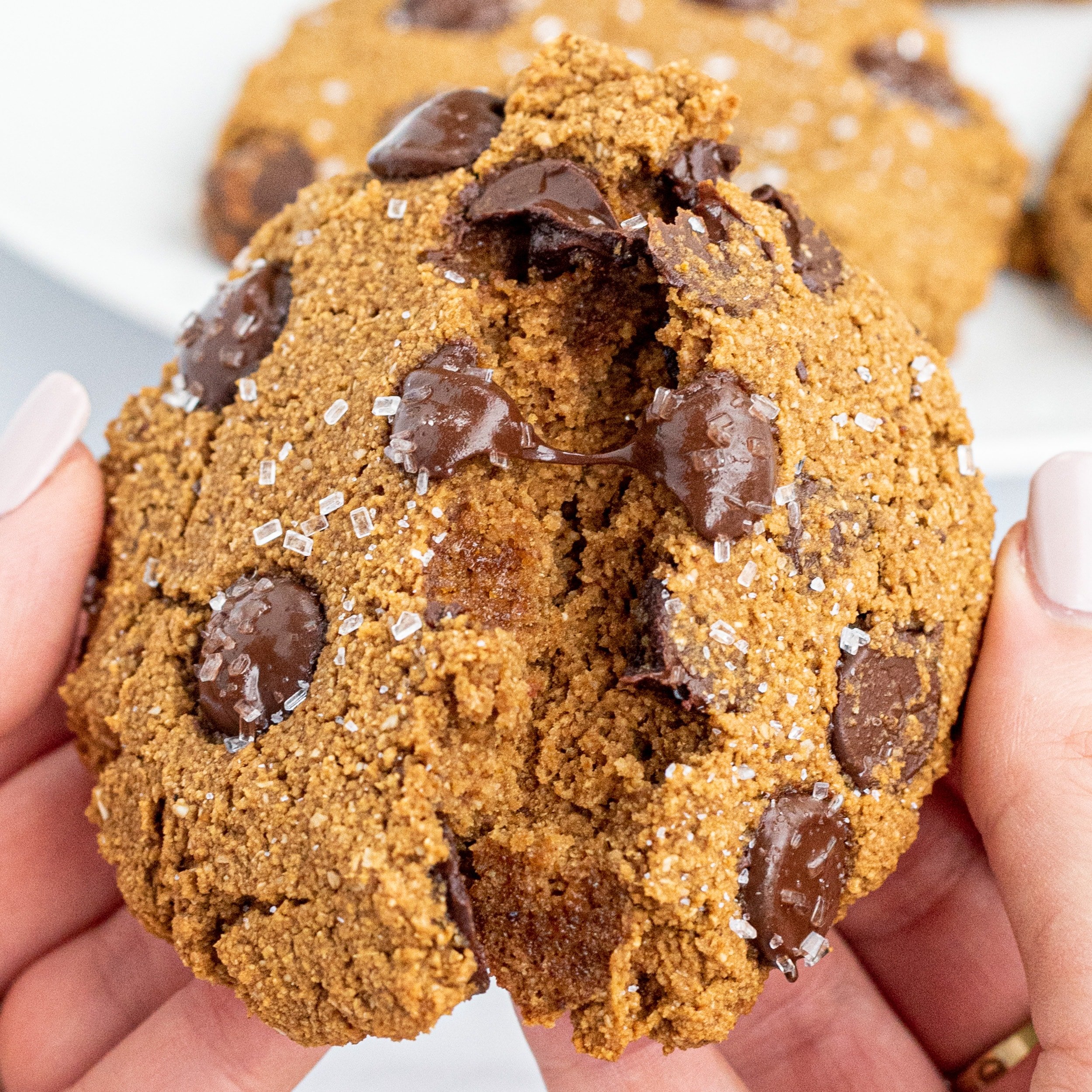 A pumpkin chocolate chip cookie being split in half by two white hands.