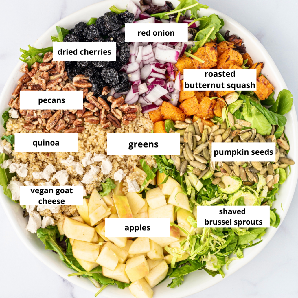Vegan Fall Harvest Salad