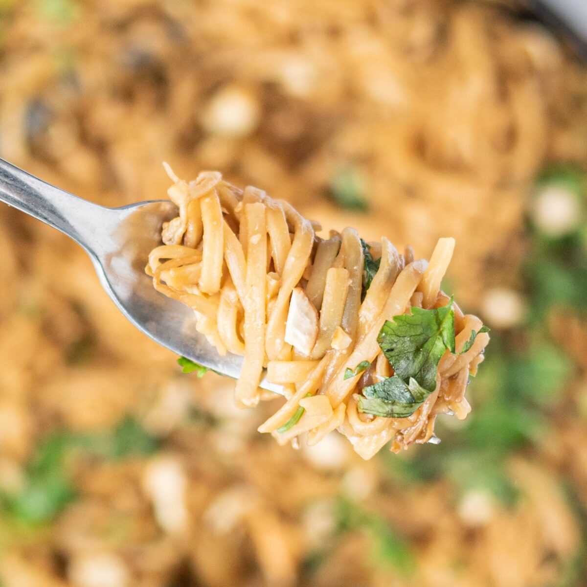 A silver fork with thin noodles wrapped around it with cashews and cilantro on top. Under the fork is a large pan with remaining noodles.