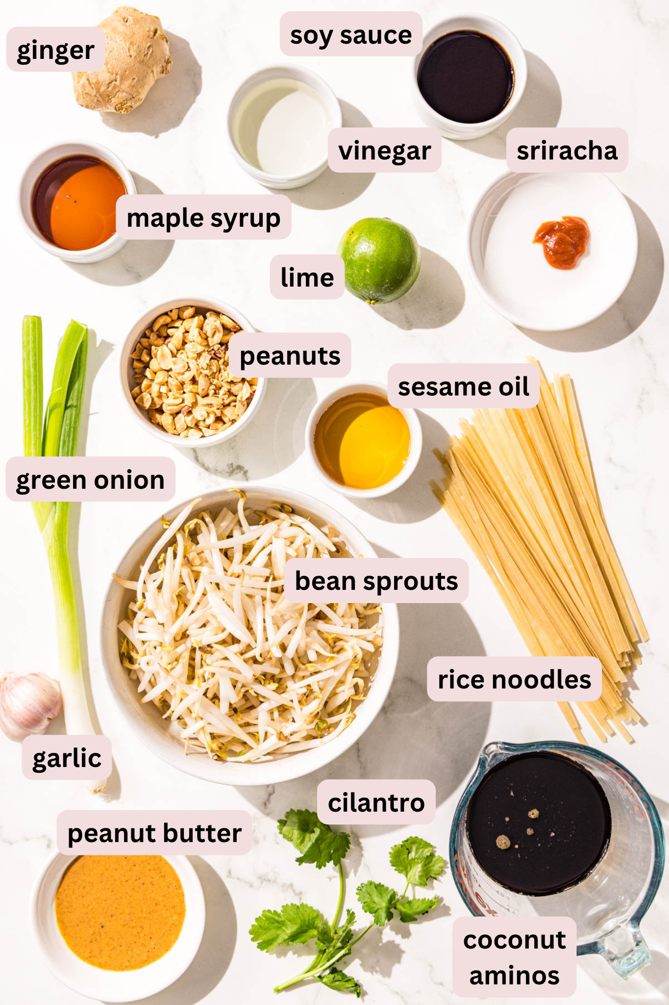 Ingredients laid out on the counter in bowls and labeled including: ginger, soy sauce, vinegar, sriracha, maple syrup, lime, sesame oil, peanuts, green onion, rice noodles, bean sprouts, garlic, cilantro, coconut aminos, and peanut butter.
