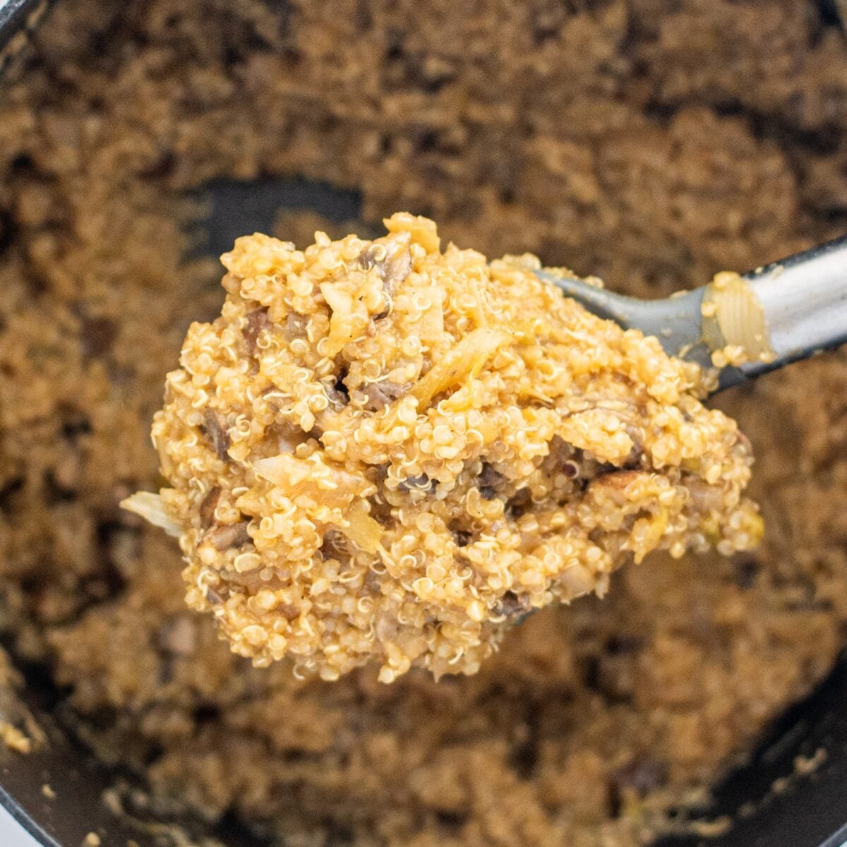 A pot of Vegan One Pot Mushroom Quinoa Risotto and a large spoon holding a scoop of risotto.