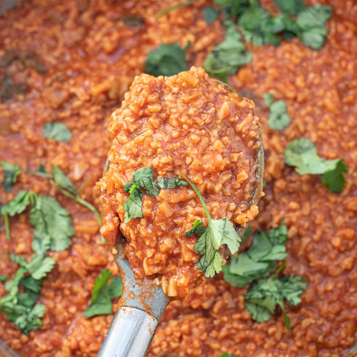Close up of the One Pan Creamy Vegan Mexican Cauliflower Rice garnished with fresh cilantro. A silver spoon in the middle of the photo holding a large bite of the rice dish.