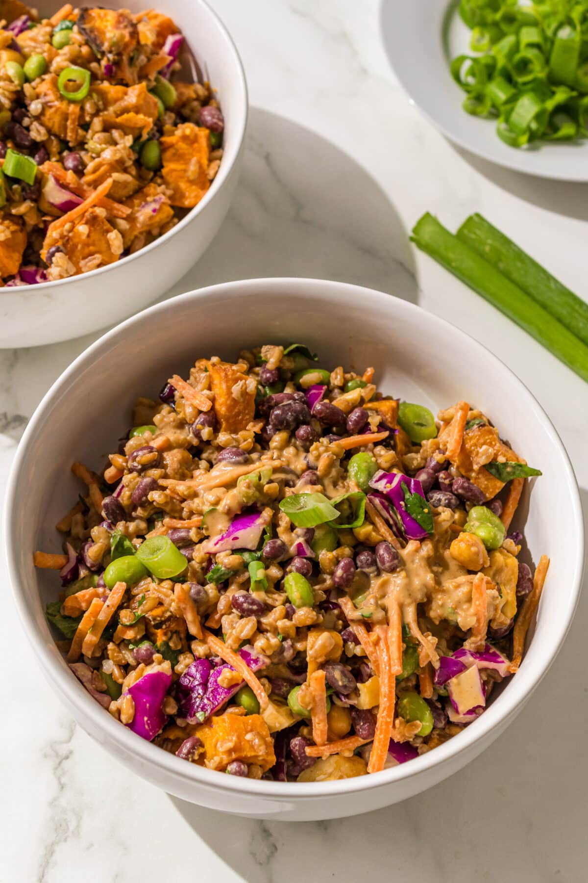 Two small white bowls filled with adzuki bean farro salad garnished with green onions. Next to the bowls is fresh green onions on a small white plate.