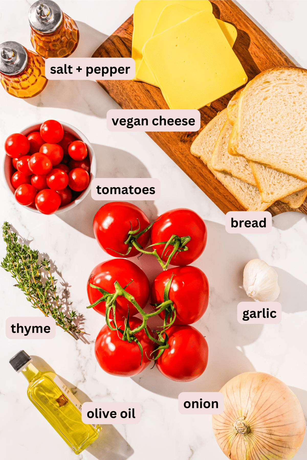 Ingredients laid out on a marble counter and labeled including salt and pepper, vegan cheese slices, bread, tomatoes, garlic, thyme, olive oil, and onion.