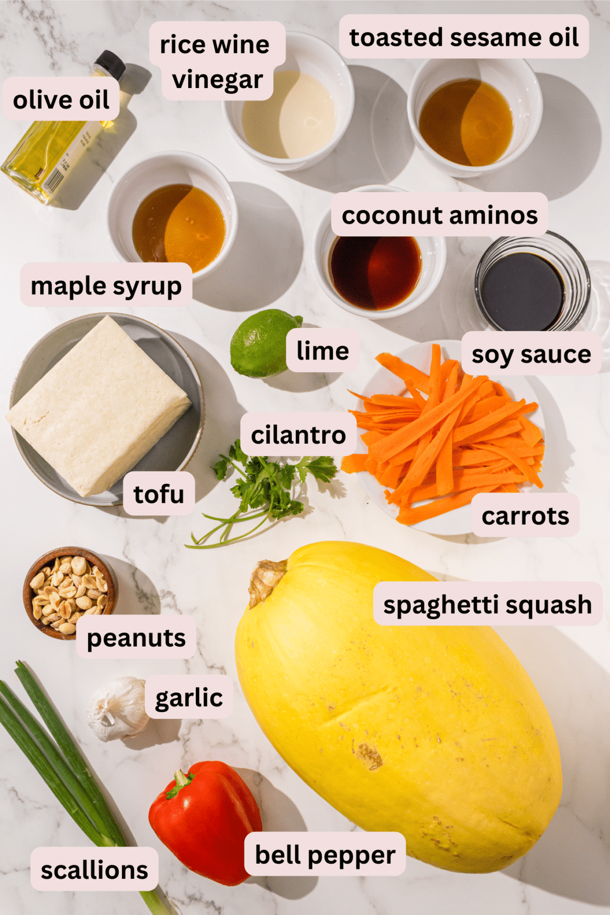 Ingredients laid out on a counter in bowls and labeled including: olive oil, rice wine vinegar, sesame oil, coconut aminos, soy sauce, maple syrup, lime, carrots, tofu, cilantro, peanuts, spaghetti squash, garlic, bell pepper, and scallions.