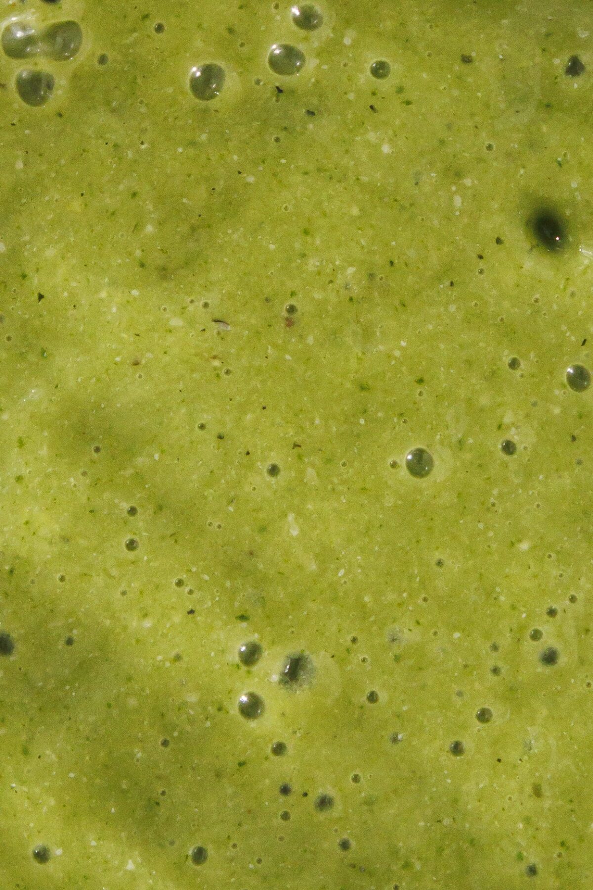 Close up of the gut healing smoothie.