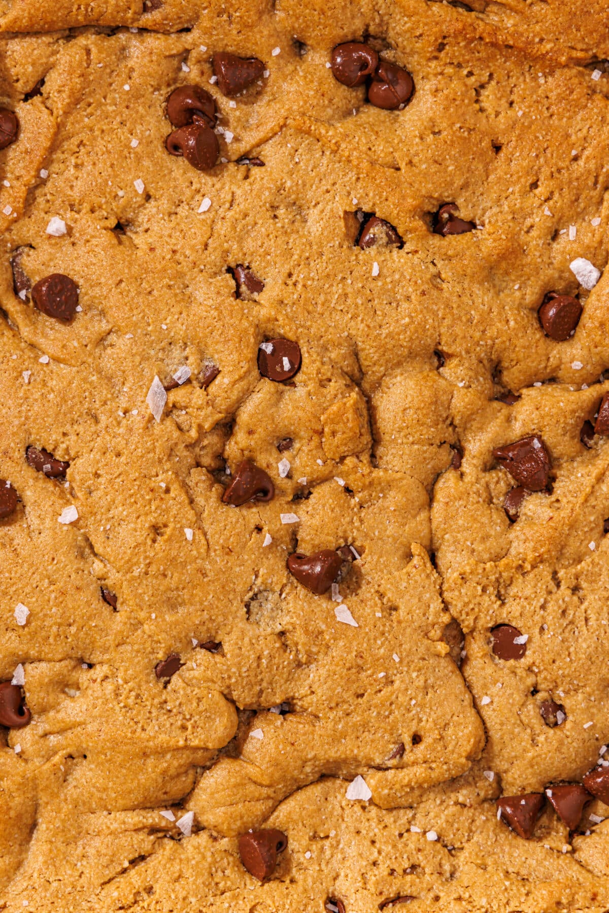 Close up of vegan tahini blondies.