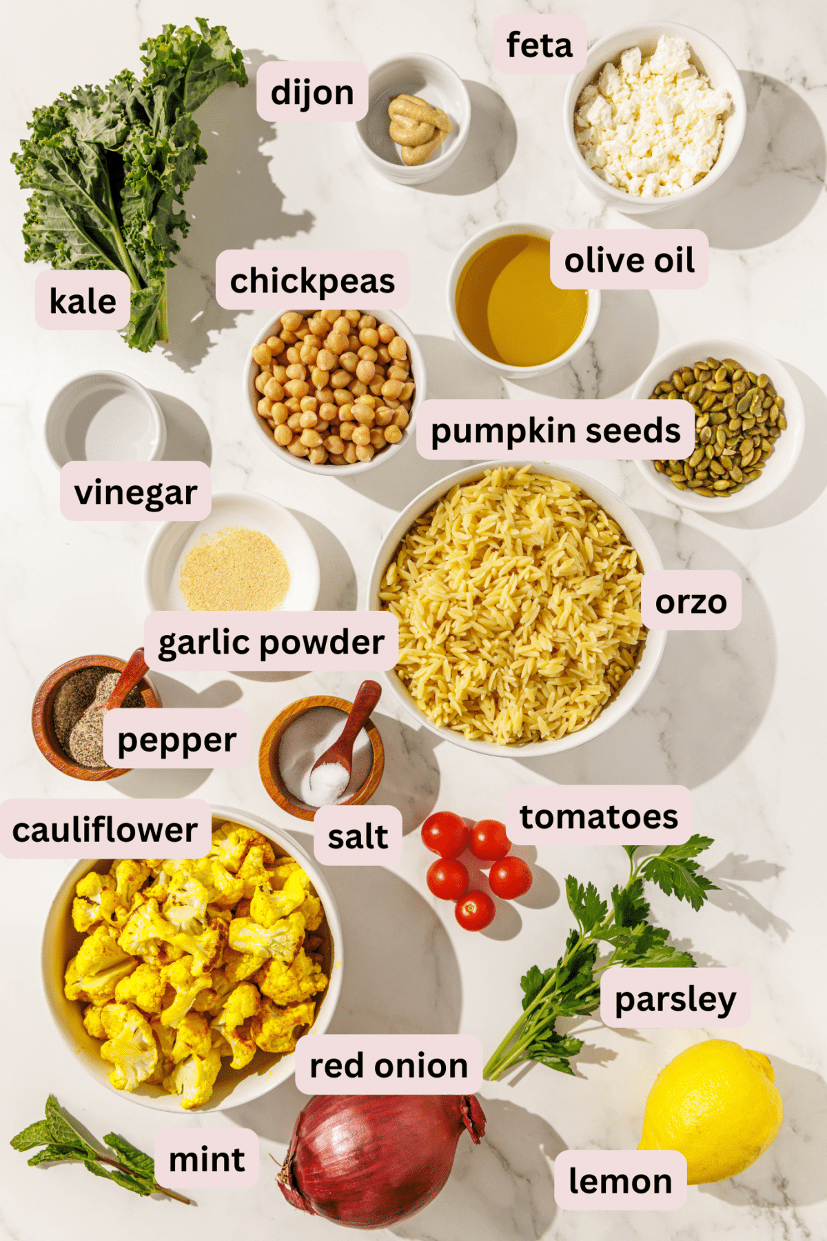 Ingredients needed to make meal prep salad laid out on a marble counter and labeled including: feta, dijon, olive oil, kale, chickpeas, garlic powder, vinegar, pumpkin seeds, orzo, pepper, salt, tomatoes, parsley, lemon, red onion, cauliflower, and mint.