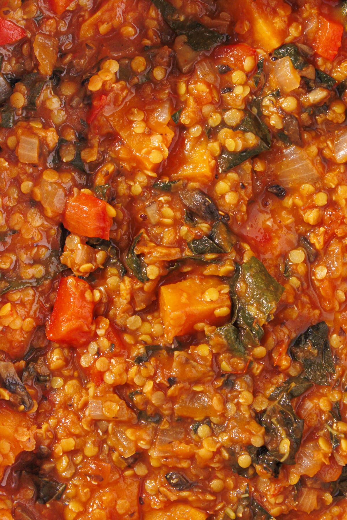 Close up of the nourish pot dish.