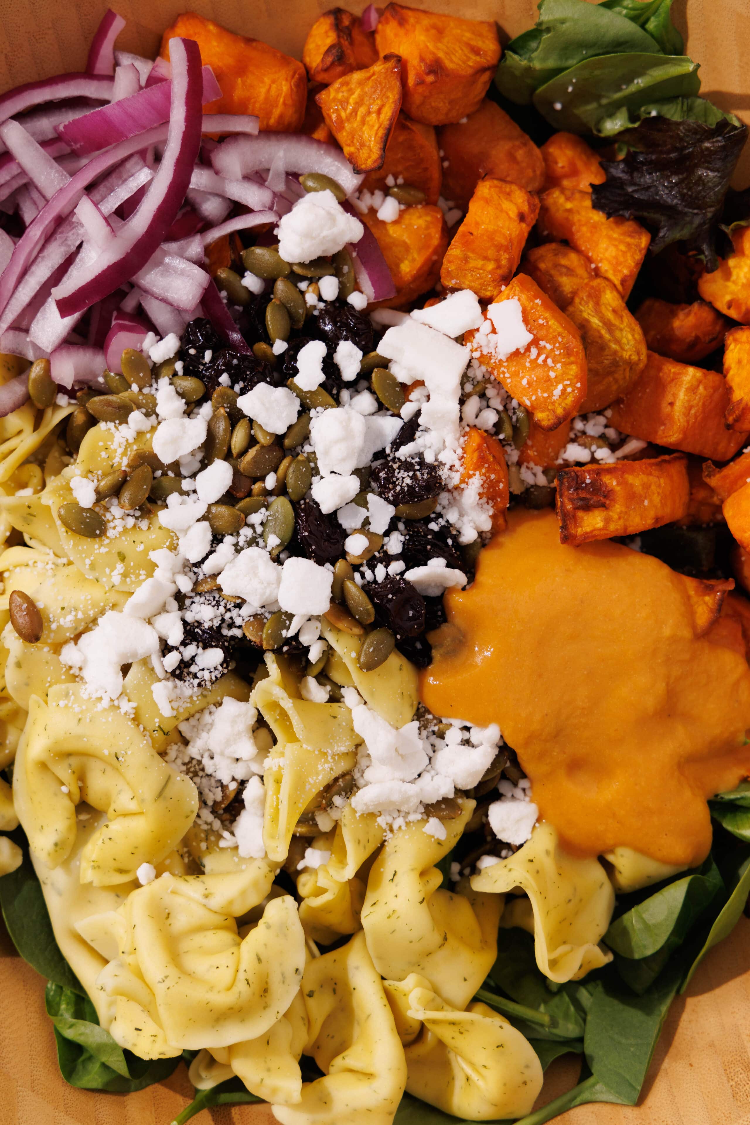 Holiday Tortellini Salad (with pumpkin vinaigrette!)