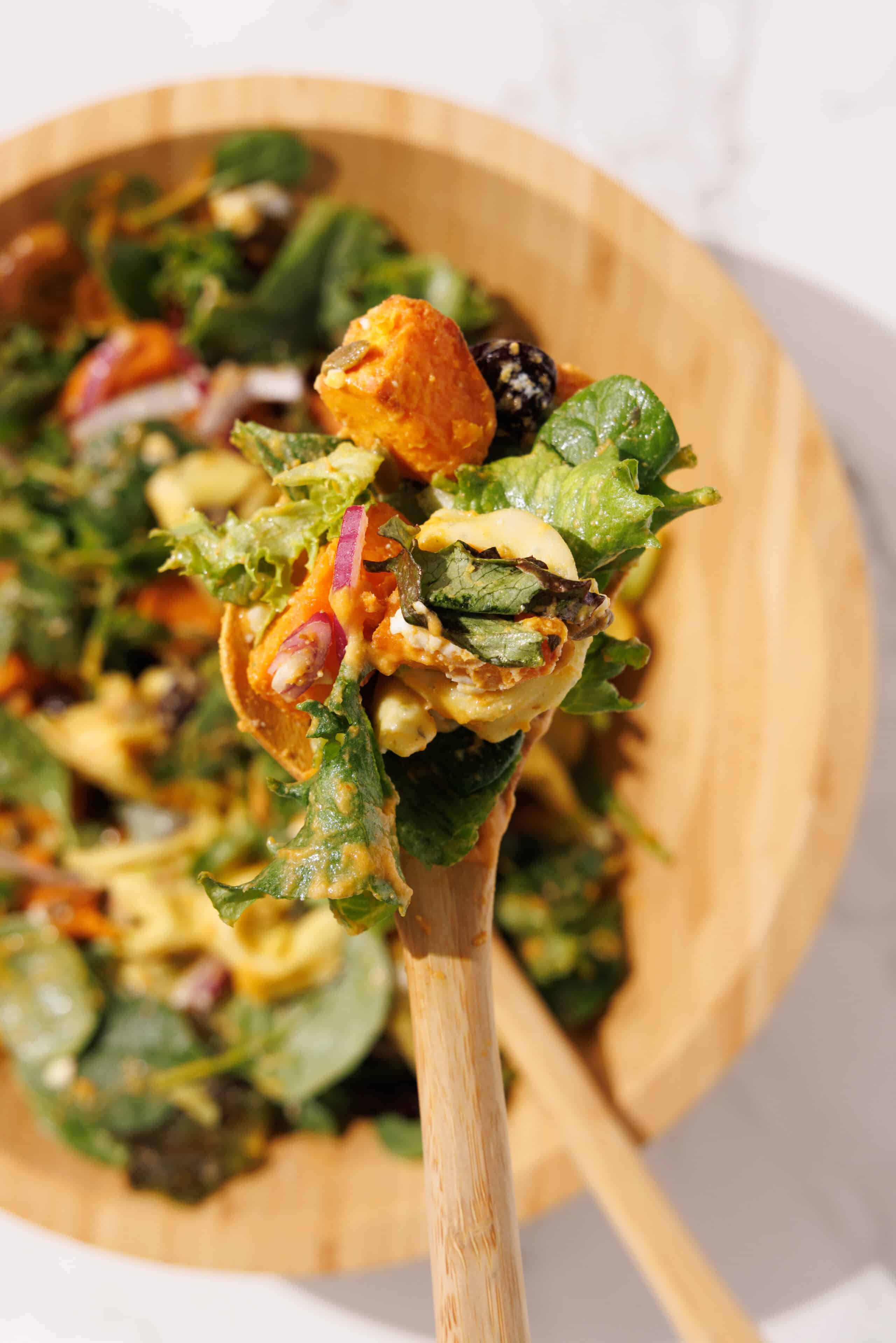 Holiday Tortellini Salad (with pumpkin vinaigrette!)