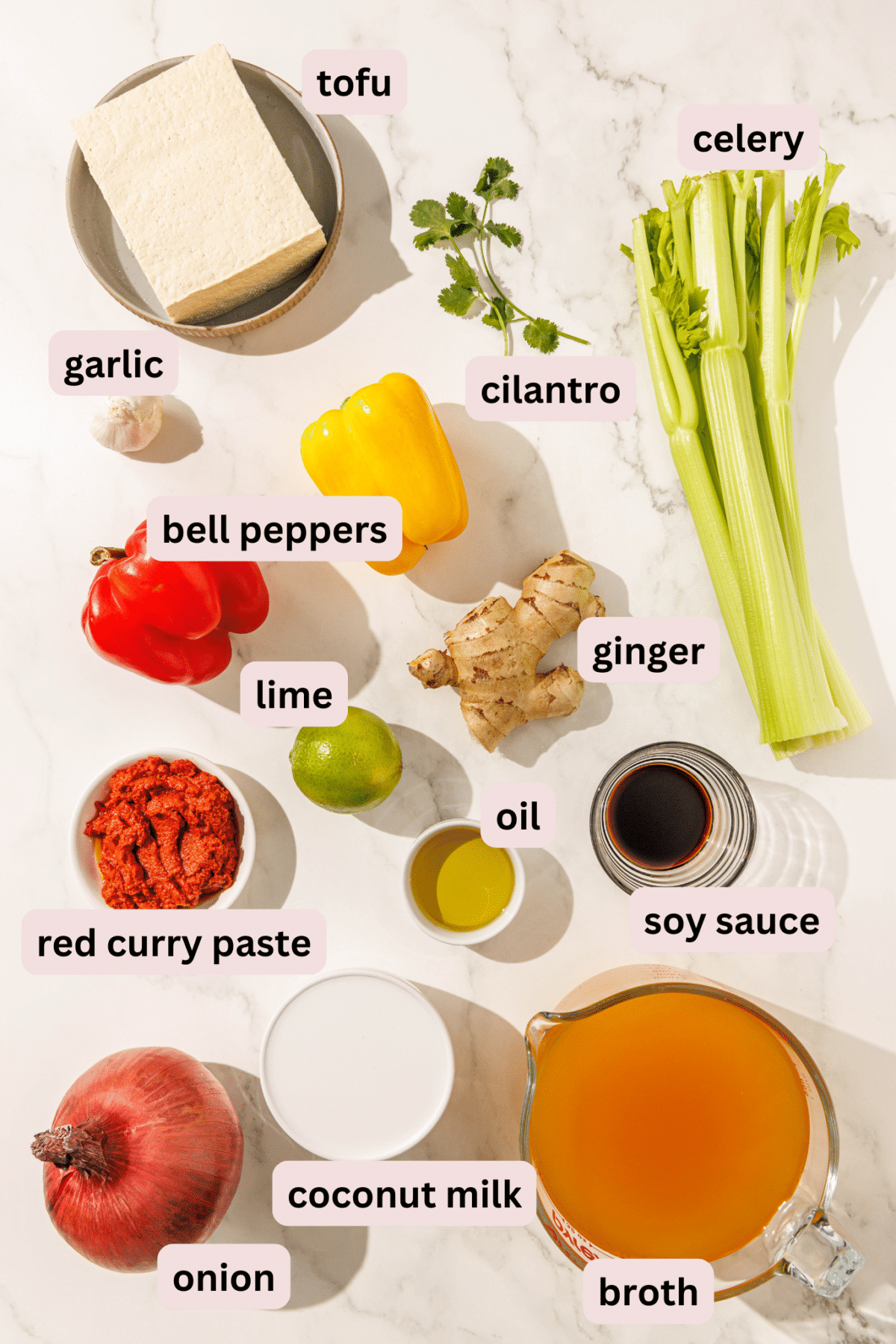 Ingredients laid out on a countertop in bowls and labeled including: a block of tofu, celery, cilantro, garlic, two bell peppers, fresh ginger, a lime, oil, soy sauce, red curry paste, broth, coconut milk, and a red onion.