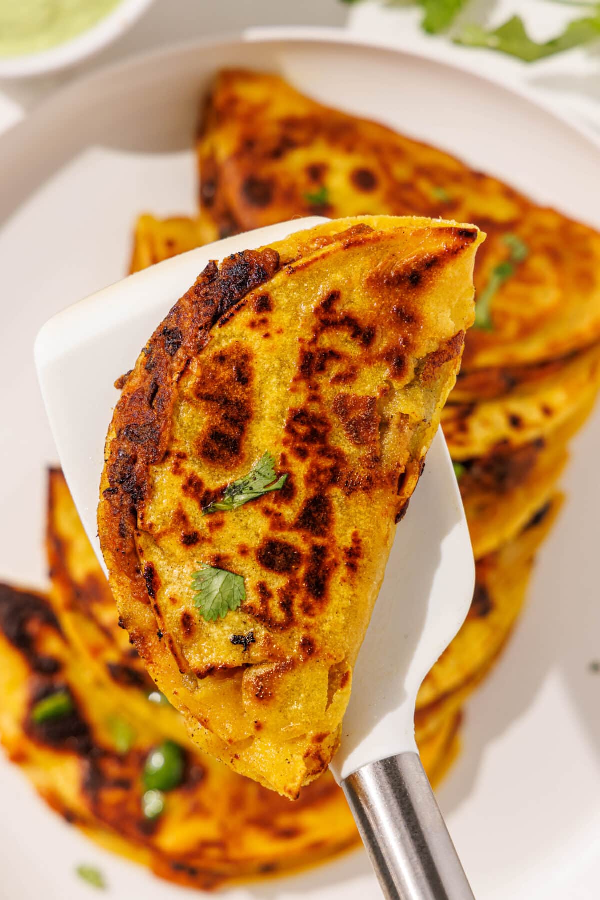 One bean and sweet potato taco being held on a white spatula overtop a white plate filled with 5 bean and sweet potato tacos all garnished with chopped cilantro.