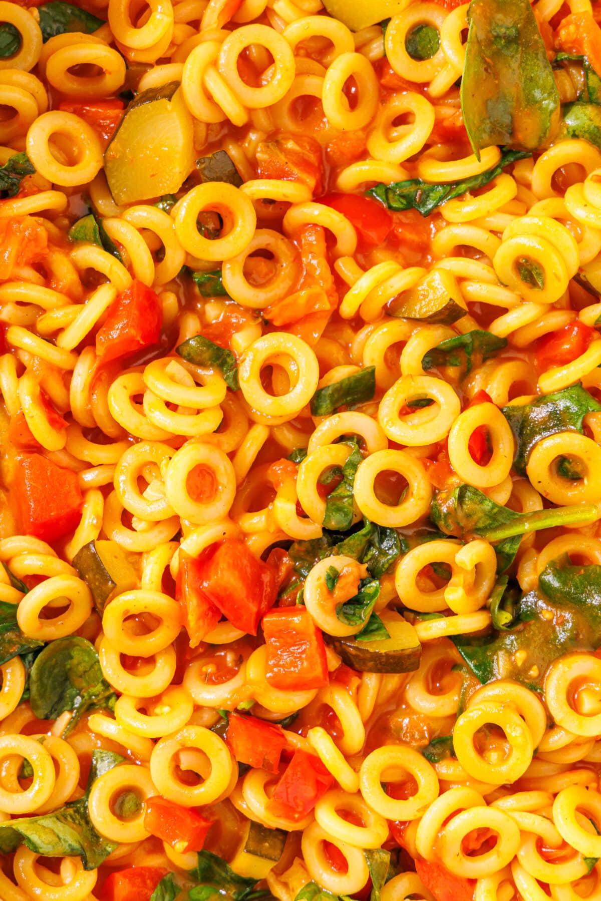 A close up of one pot pasta.