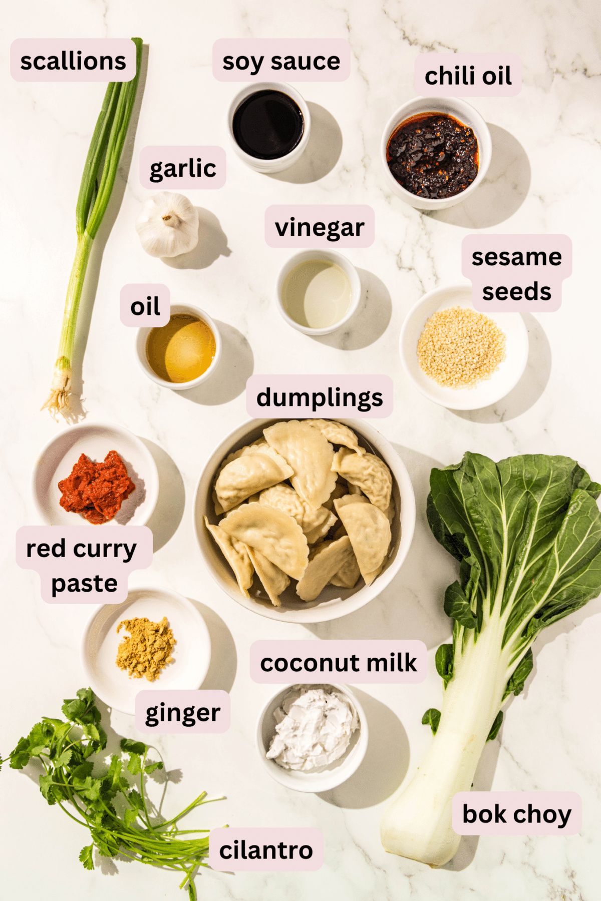 Ingredients laid out on a countertop and labeled including: scallions, soy sauce, chili oil, garlic, ginger powder, vinegar, sesame seeds, dumplings, bok choy, red curry paste, oil, coconut milk, and cilantro.