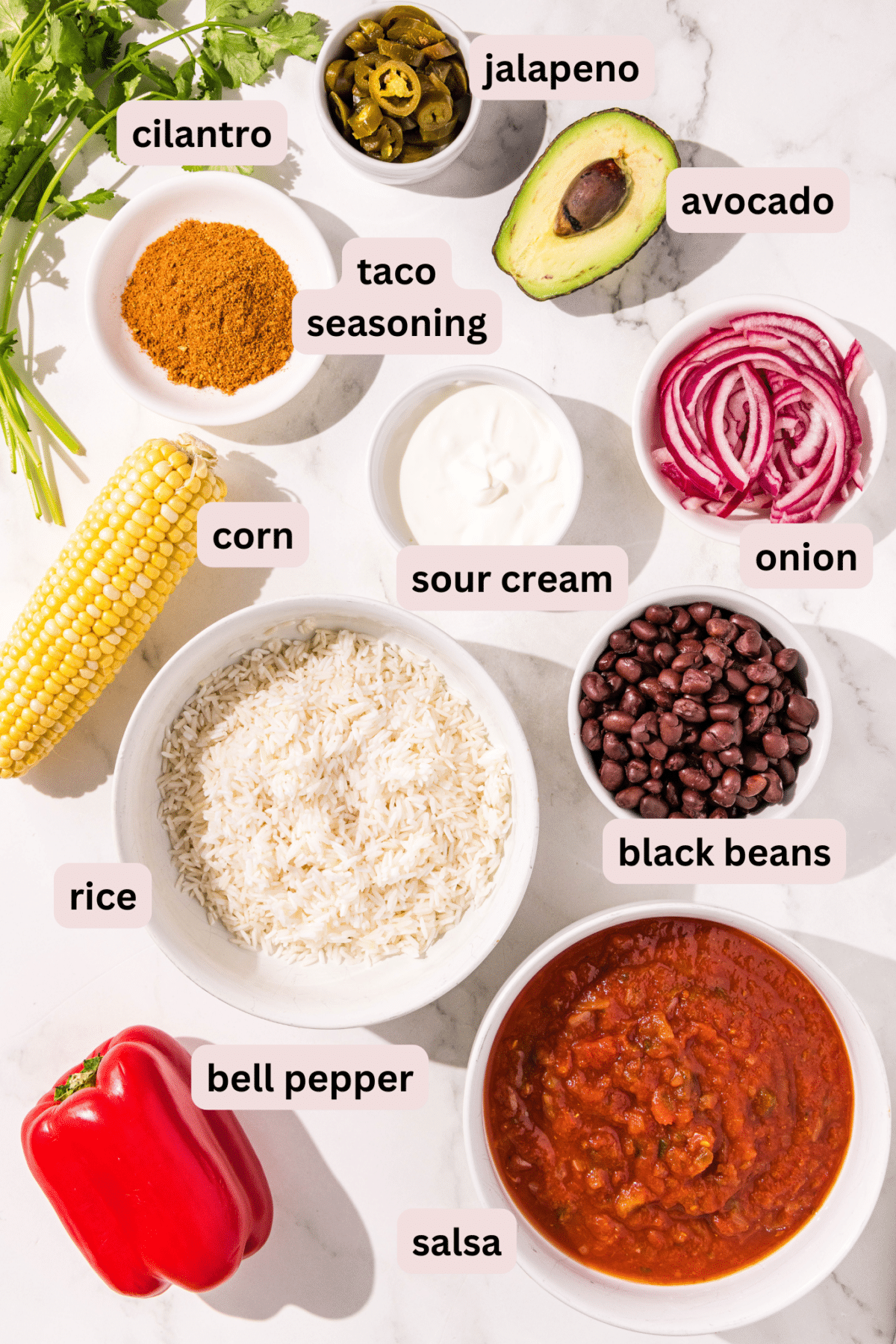Ingredients needed to make one pan taco casserole laid out on the counter and labeled including: cilantro, jalapeno, avocado, red onion, taco seasoning, sour cream, corn, black beans, rice, bell pepper, and salsa.
