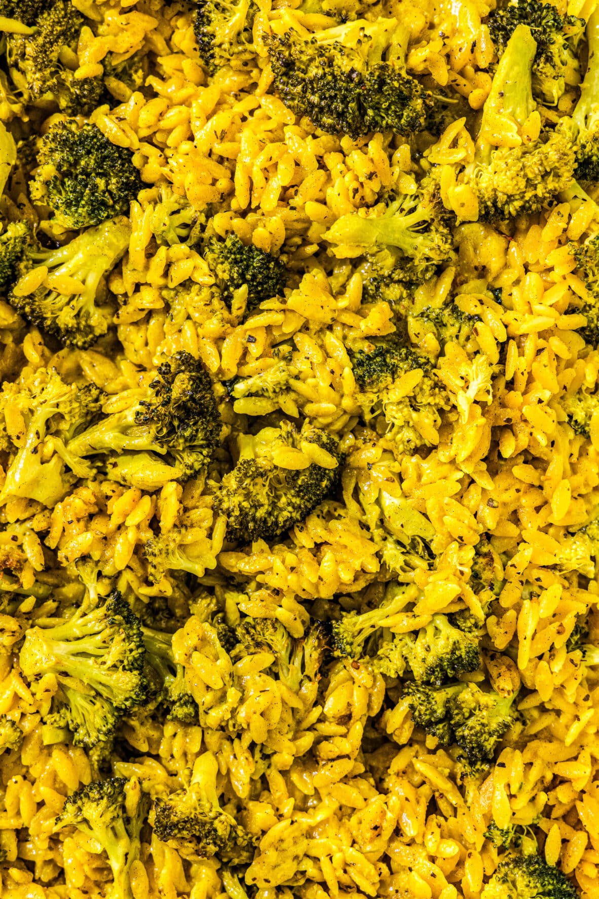 A close up of the One Pan Broccoli Cheddar Orzo.