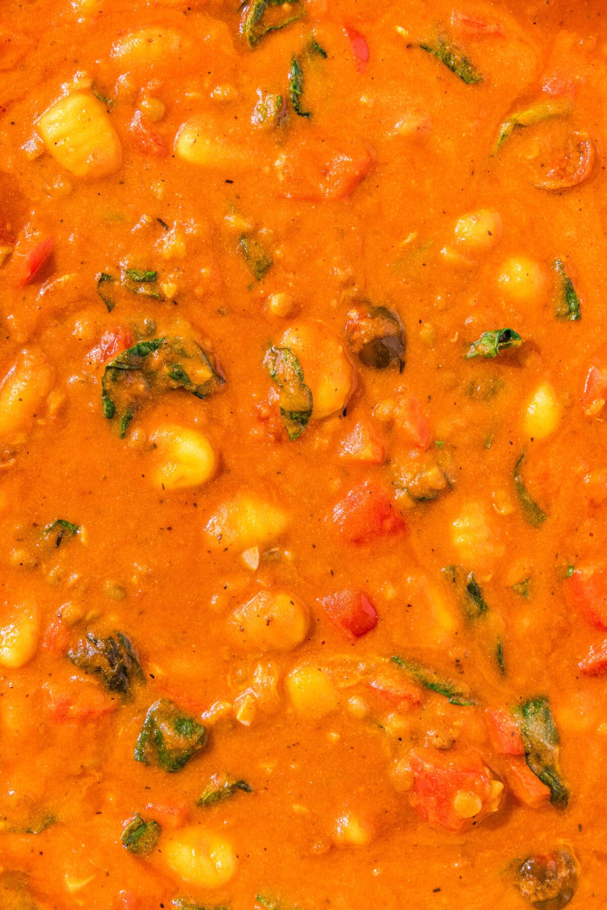 A close up of the One Pan Gnocchi where you can see the gnocchi, marinara, and spinach up close.