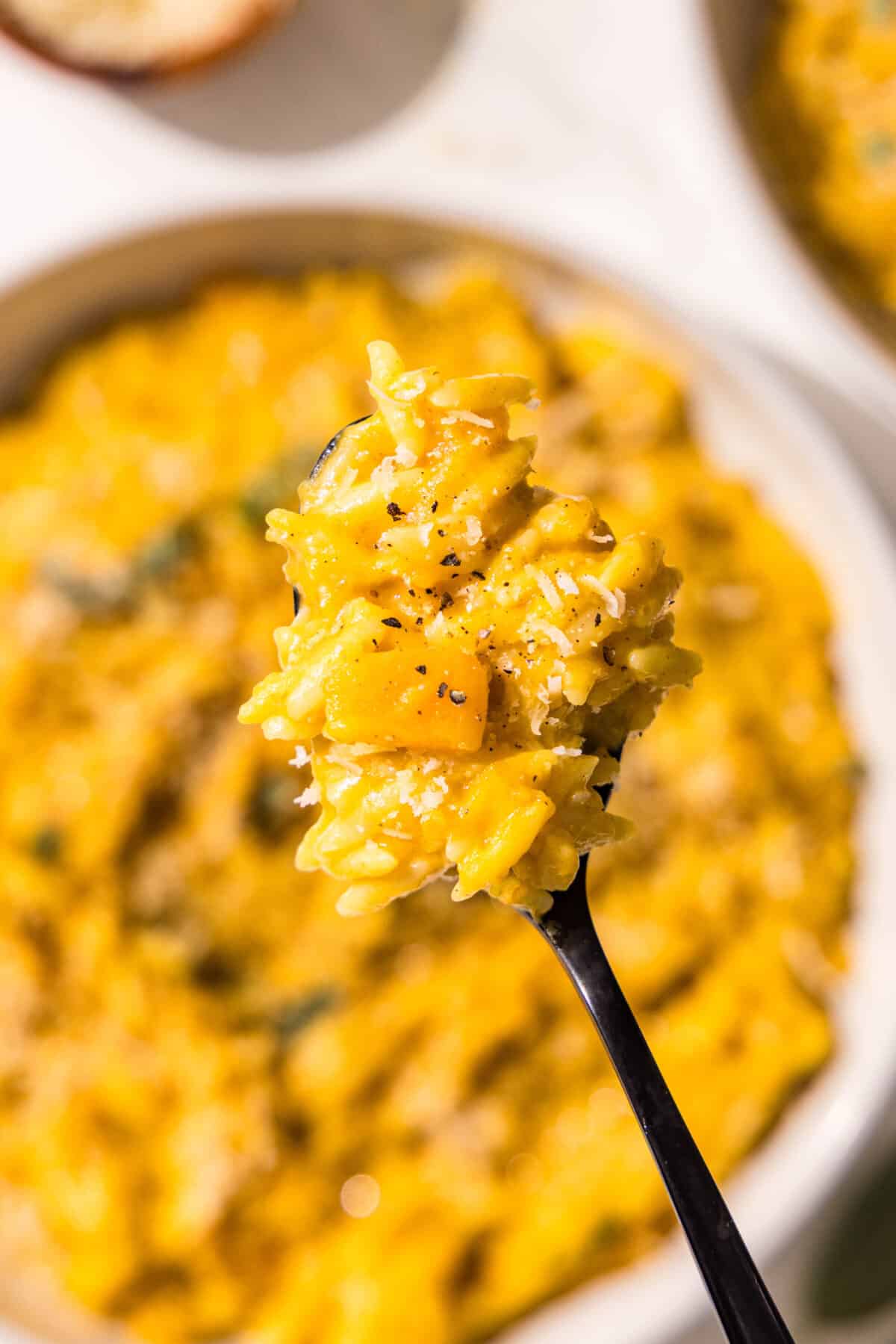 A bowl of pumpkin orzo with a black fork holding a scoop of the orzo.