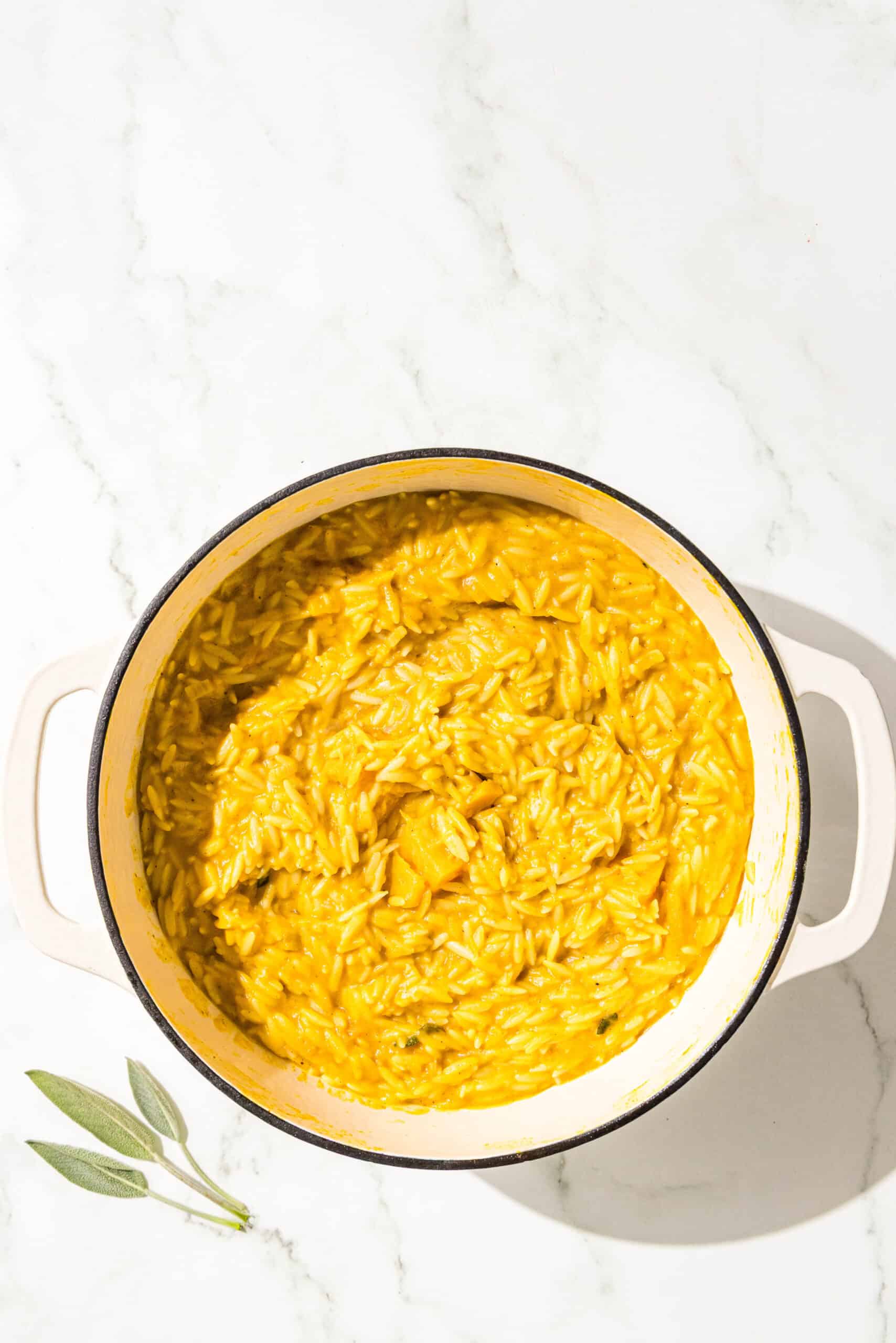 A large pot of one pot pumpkin orzo with a fresh sage leaf next to the pot on the counter.