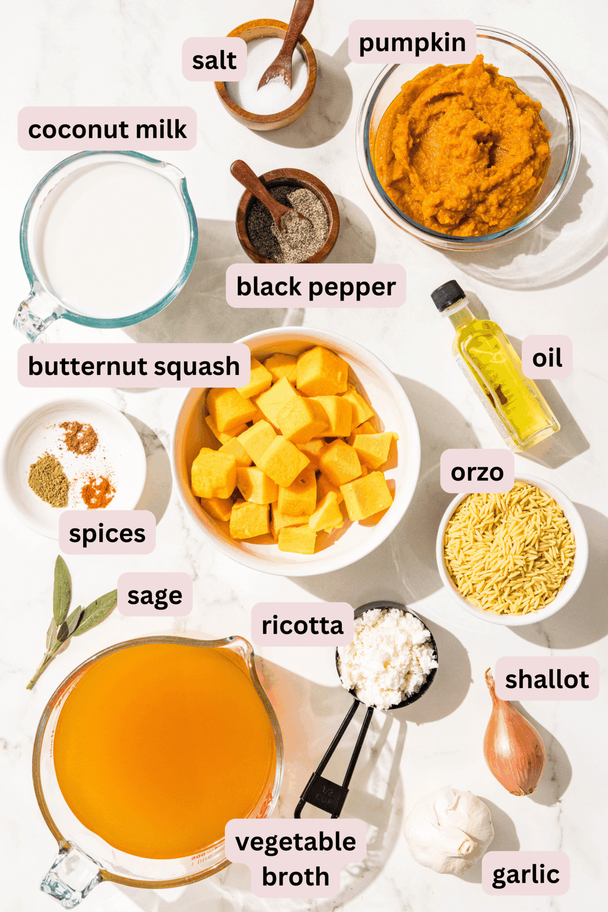 Ingredients needed to make one pot pumpkin orzo laid out on the counter in bowls and labeled including: salt, pepper, pumpkin puree, coconut milk, oil, butternut squash, orzo, spices, sage, ricotta, shallot, garlic, and vegetable broth.