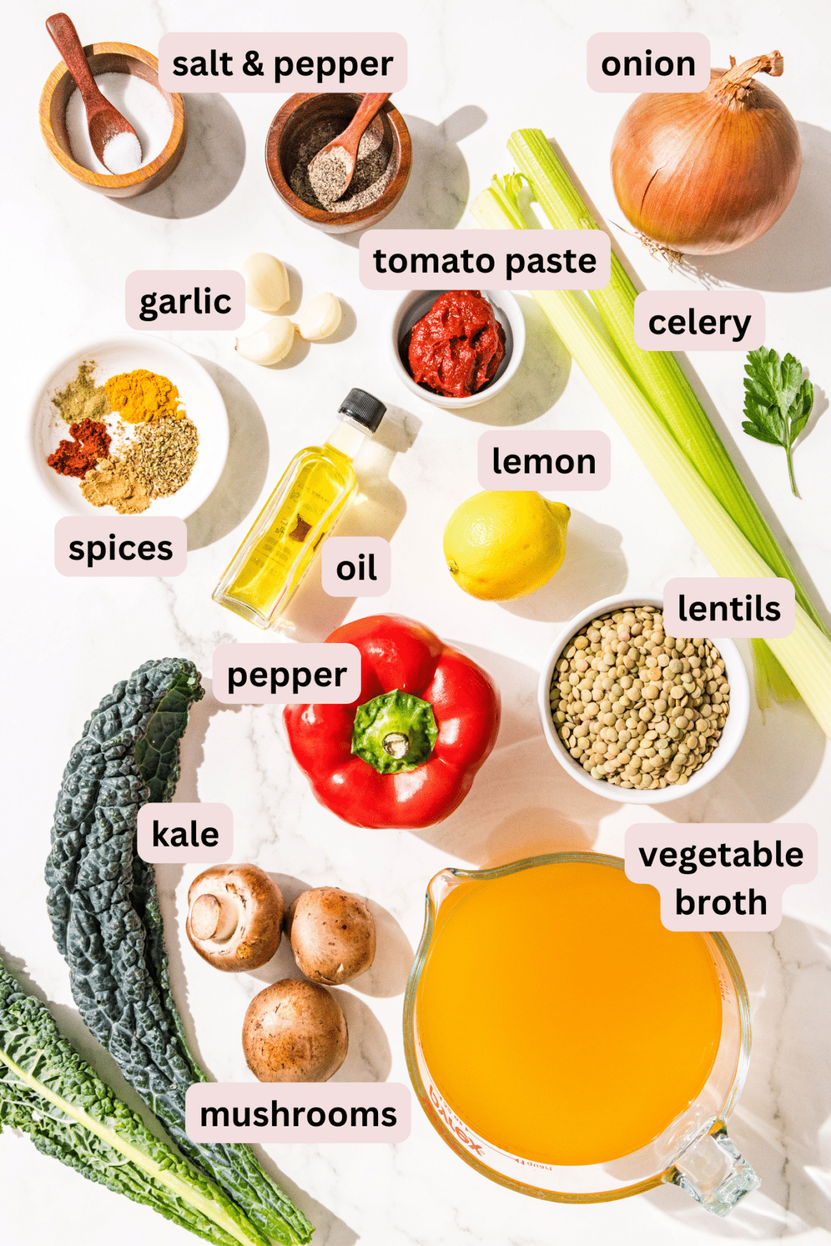 Ingredients laid out on the counter and labeled including: salt and pepper, onion, celery, tomato paste, garlic cloves, spices, lemon, oil, lentils, bell pepper, kale, mushrooms, and vegetable broth.