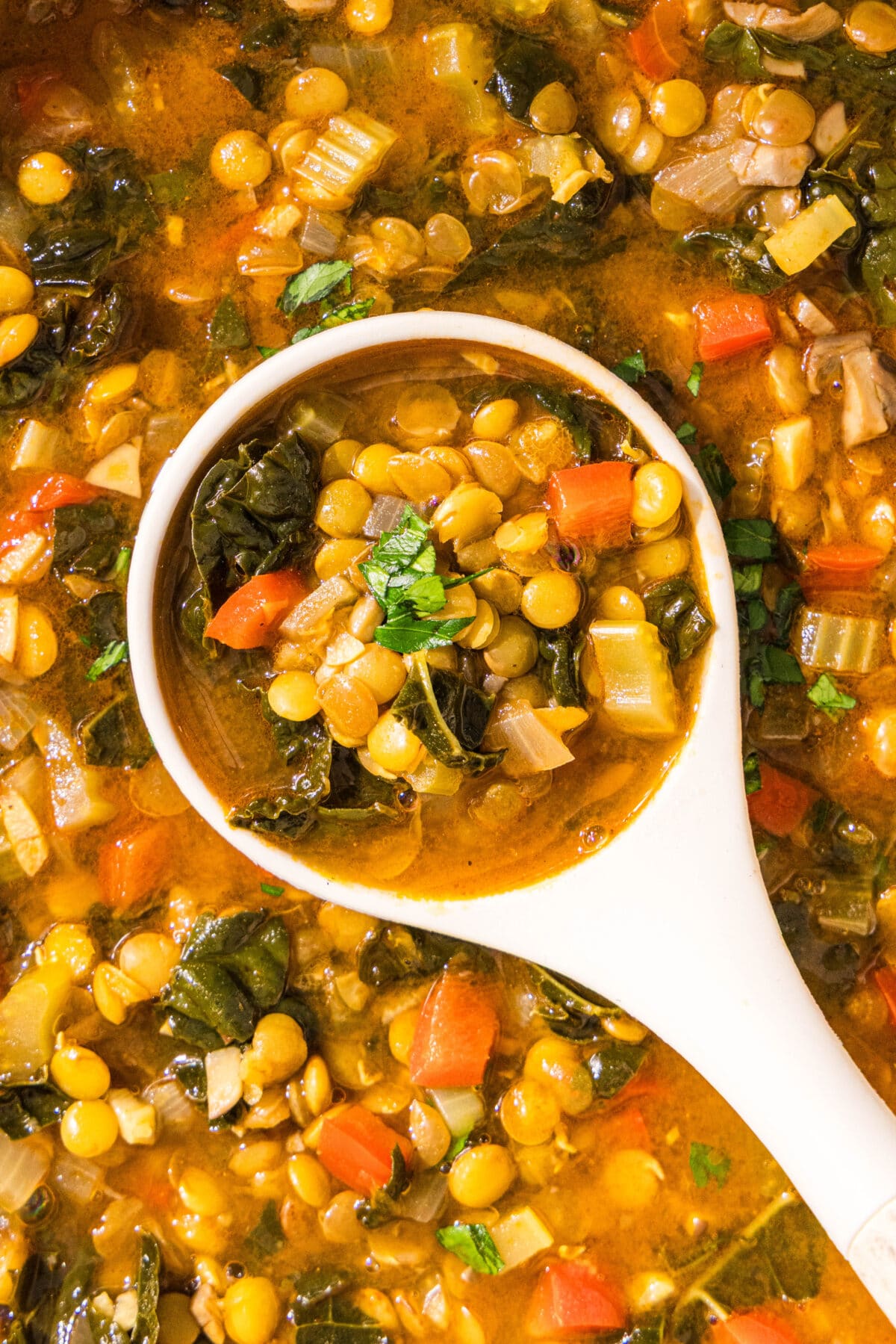 Lentil soup and a ladle.