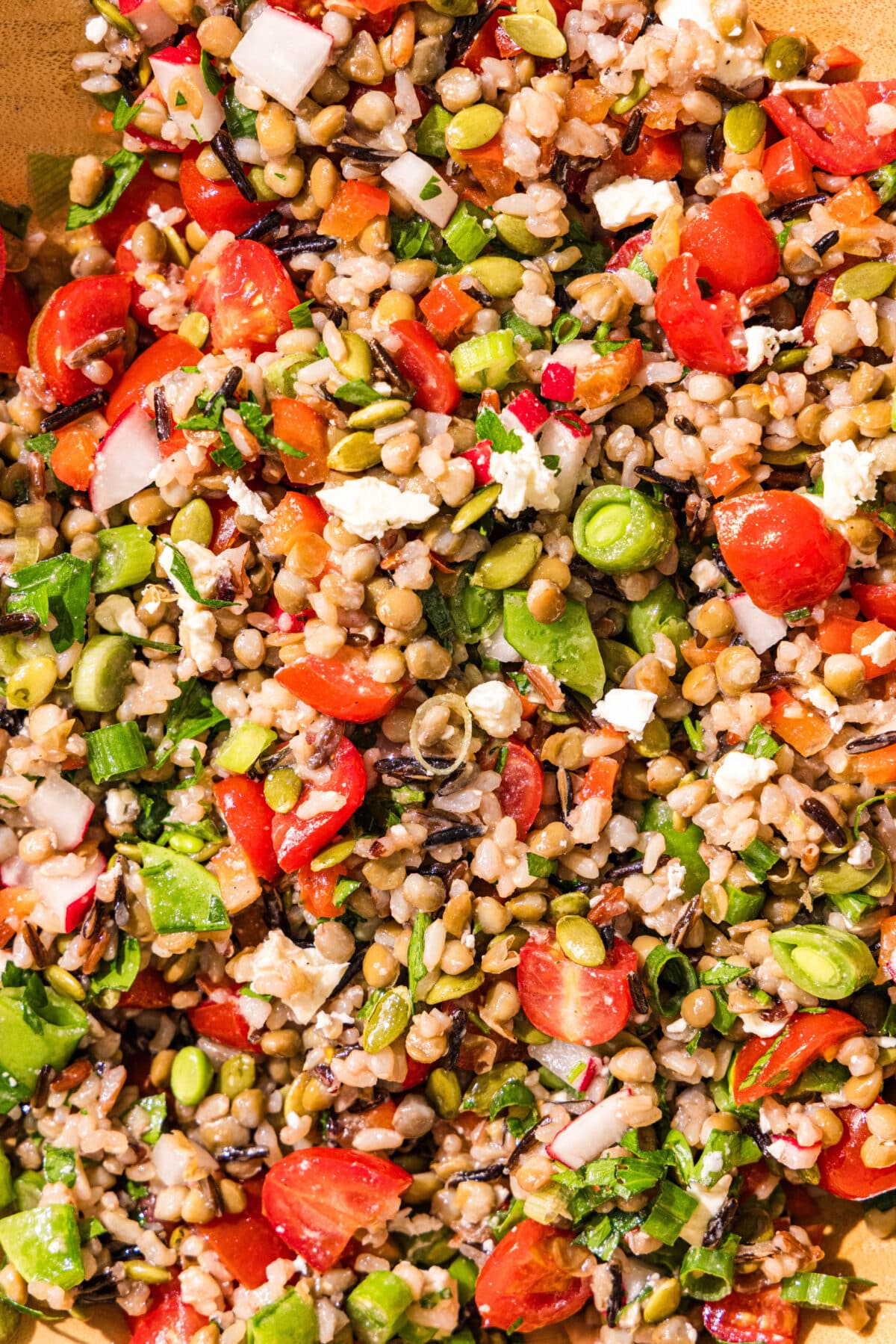 A lentil salad with wild rice, pumpkin seeds, feta and chopped veggies including snap peas, scallions, tomatoes, and bell pepper.