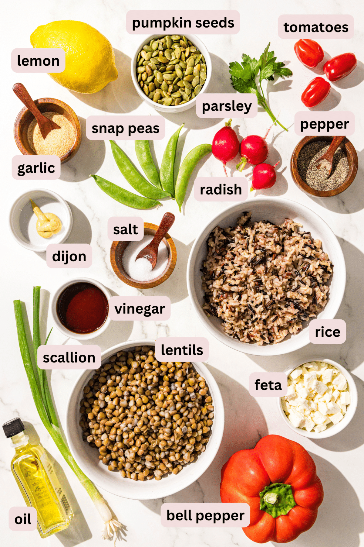 Ingredients needed to make summer chopped lentil salad in bowls on a countertop and labeled including: lemon, pumpkin seeds, tomatoes, parsley, black pepper, snap peas, garlic powder, radish, dijon mustard, salt, wild rice, vinegar, scallion, lentils, feta, bell pepper, and oil.