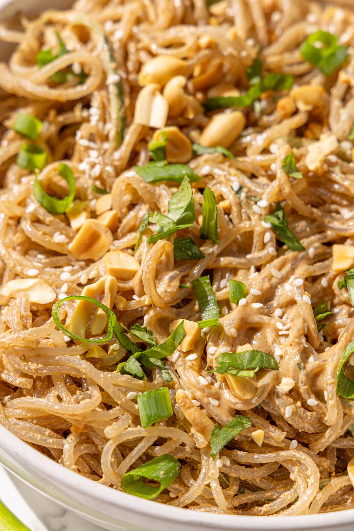 Sesame noodles topped with green onion, peanuts, and sesame seeds.