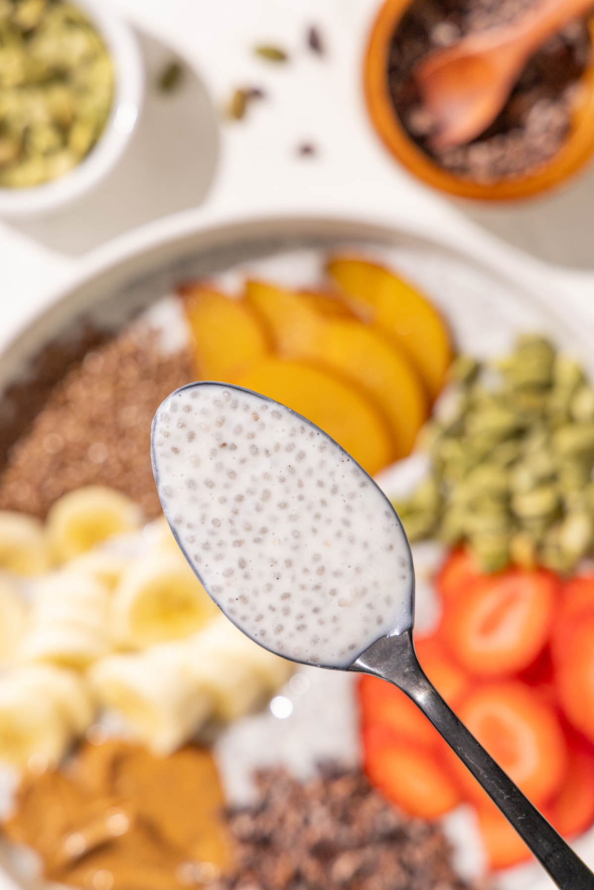 A spoon holding a bite of chia pudding over a bowl of chia pudding topped with plum, strawberries, banana, pumpkin seeds, flax seeds, almond butter, and cacao nibs.